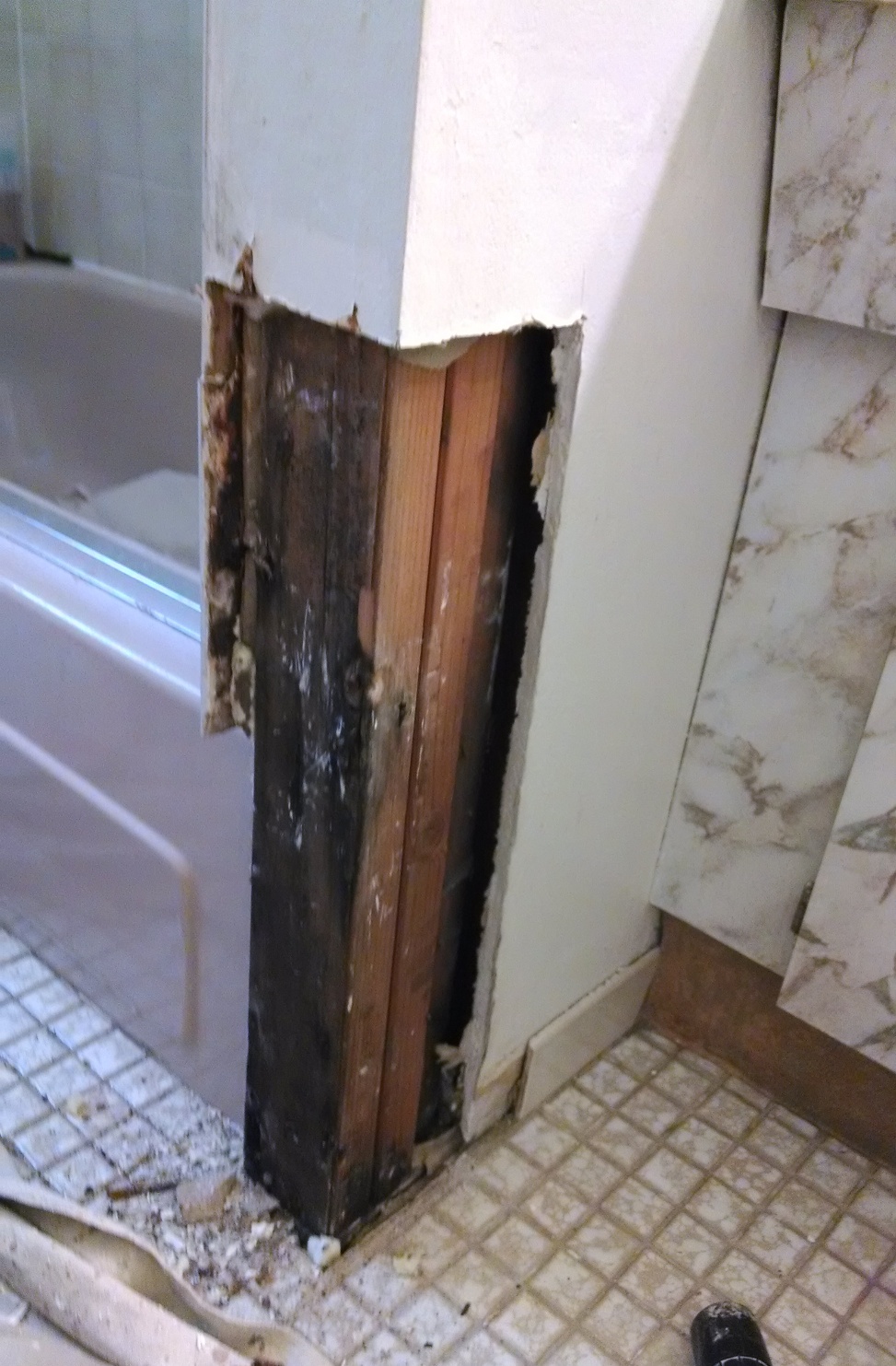 100 Pictures Of Mold In The Home Bathroom Wall Kitchen Mold