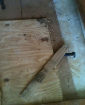 Subfloor Mold Finding Removal