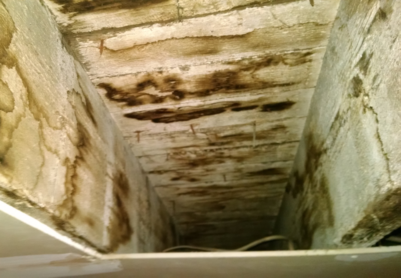 basement ceiling mold