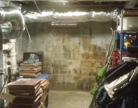 Basement wall mold 469x369