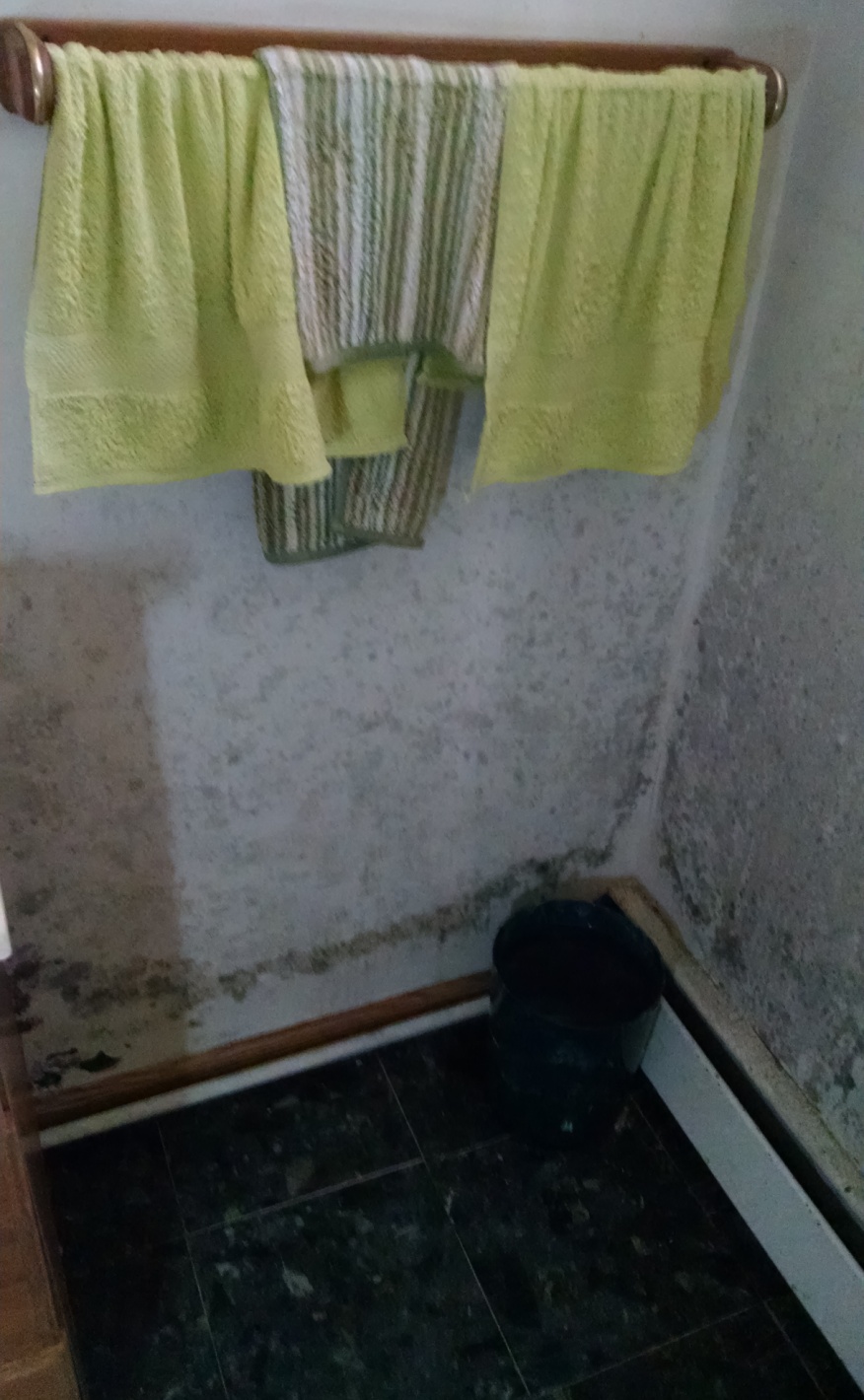 bathroom with mold
