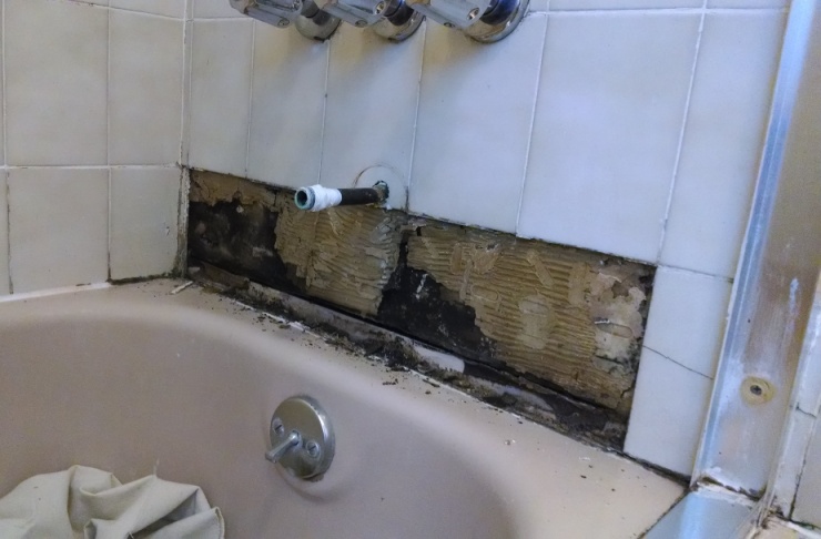 Mold Pictures Bathroom