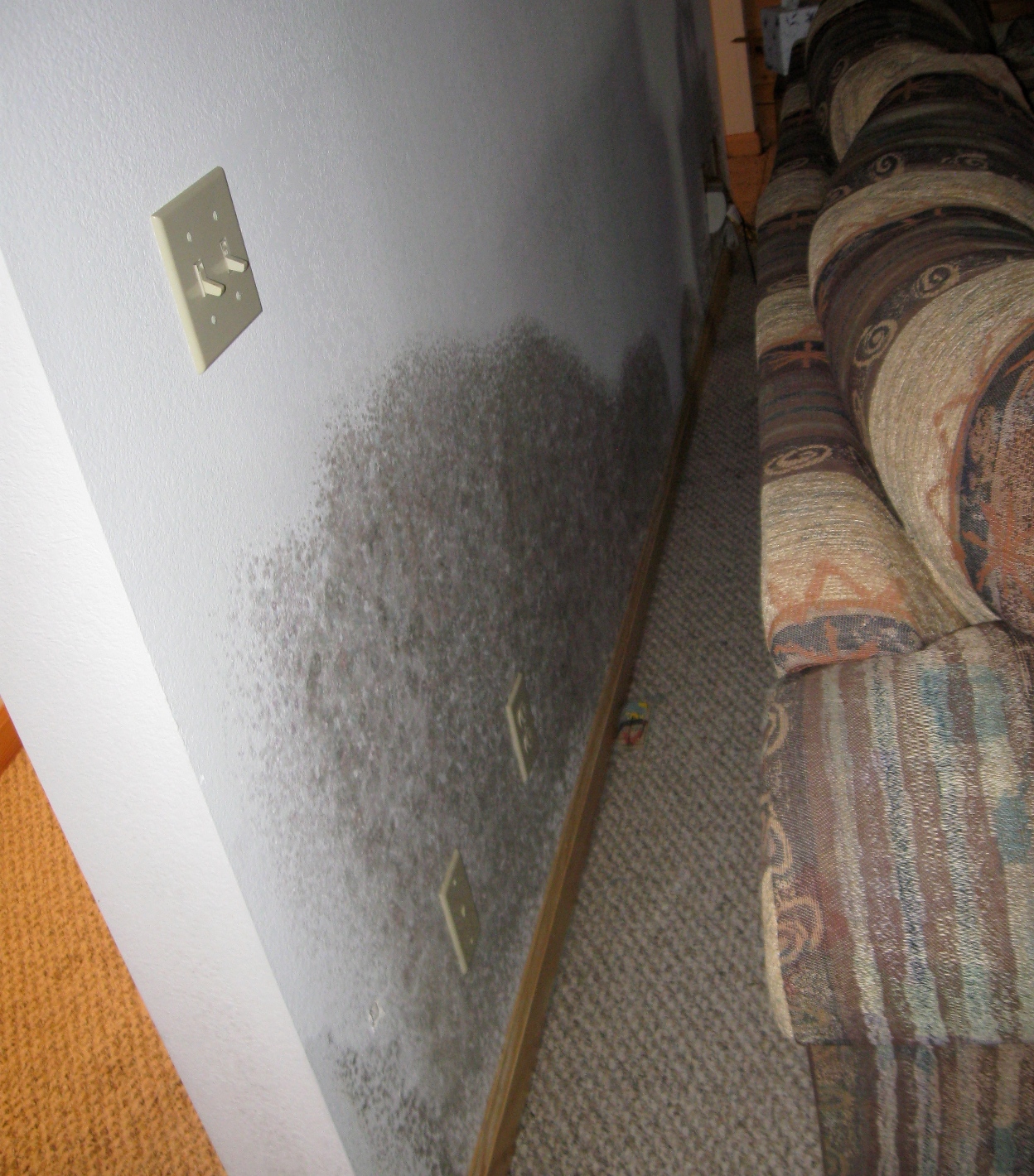 mold behind couch