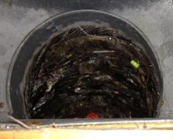 black mold in air ducts