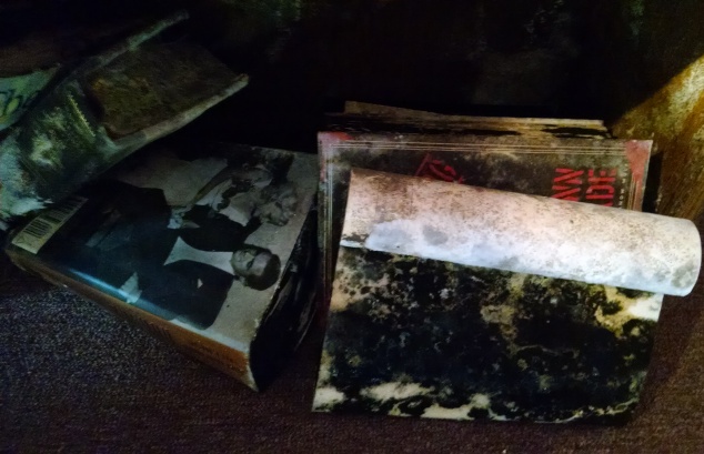 black mold books