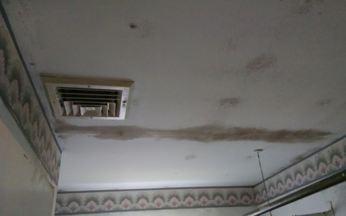 Black mold on ceiling