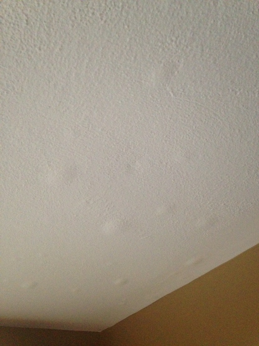 Plaster Ceiling Repair Water Damage Mycoffeepot Org