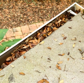 clogged gutters