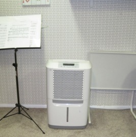 Dehumidifier in Basement