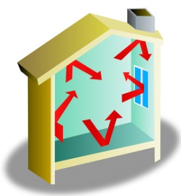 Healthful Home 5-Minute Mold Test