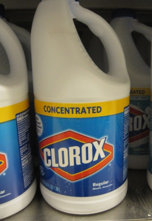 does bleach kill mold