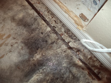 Moldy floor boards and tack strip