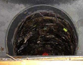 mold in hvac duct