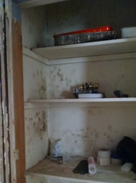 mold in closet