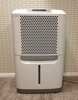 Dehumidifier for mold deals