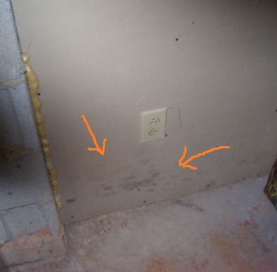 mold on basement wall