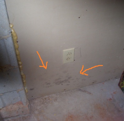 Mold on basement wall 395x387