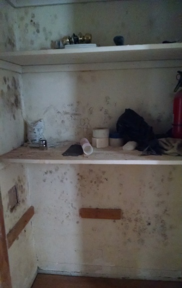 Mold On Drywall Can Moldy Drywall Be Cleaned