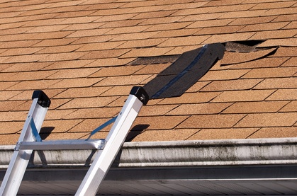 repair roof leak