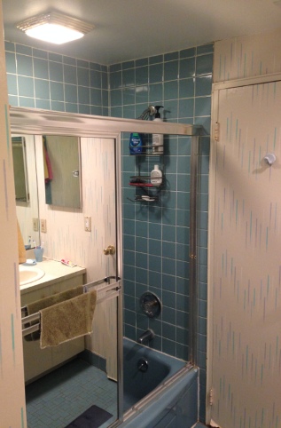 Can You Use Dehumidifier in Bathroom 