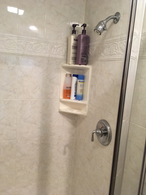 How to Remove Black Mold From Your Shower - Clean Shower Tips