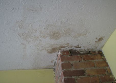 insurance and water damage