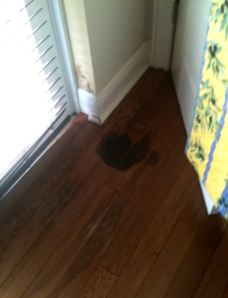Hardwood Floor Water Damage, What Does Water Damage Look Like On Hardwood Floors
