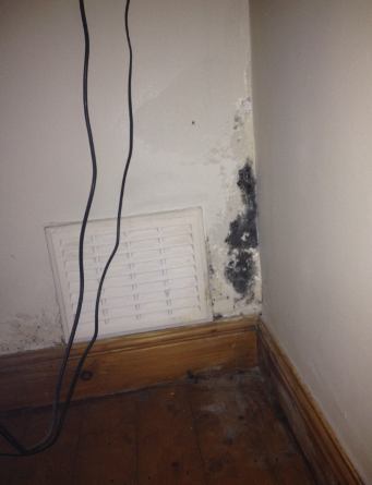 Apartment mold