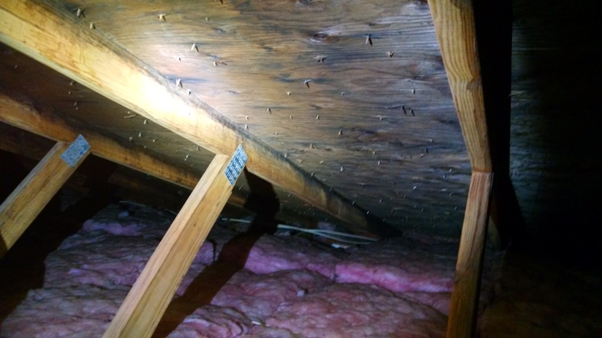 mold removal cost