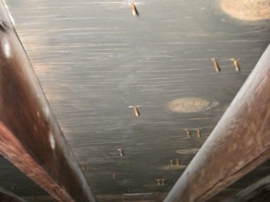 attic mold treatment