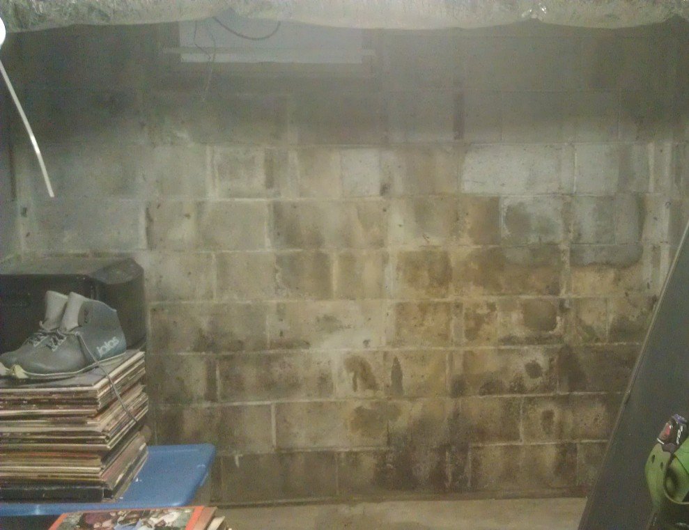 basement cement wall with mold
