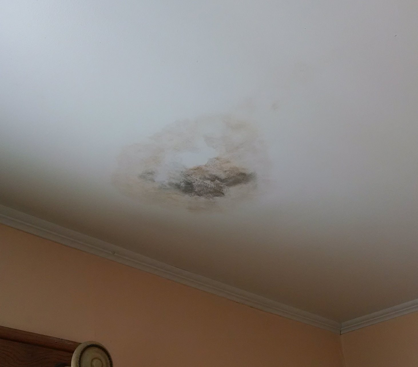 bathroom ceiling mold