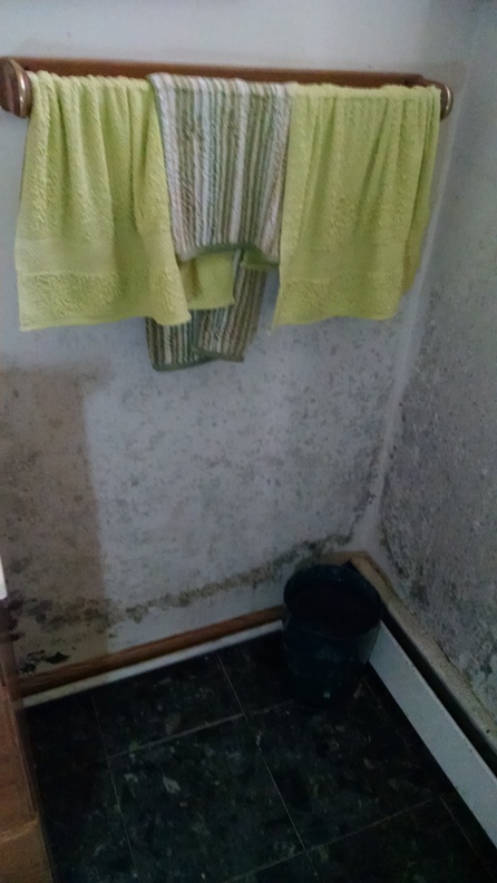 Bathroom Mold Removal