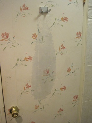 mold on bathroom wall