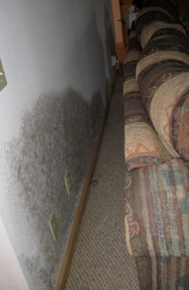 symptoms of black mold exposure