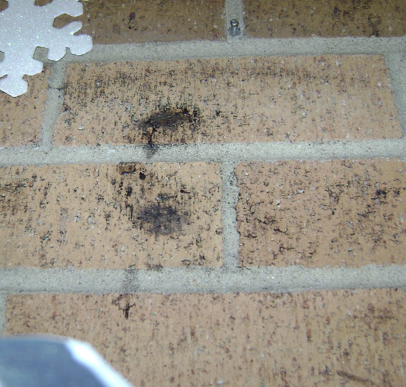 mold on brick