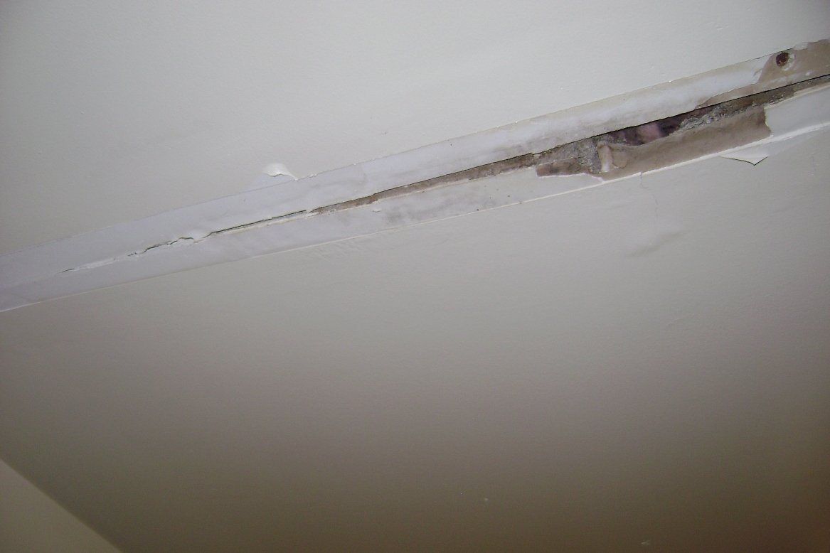 Mold on ceiling