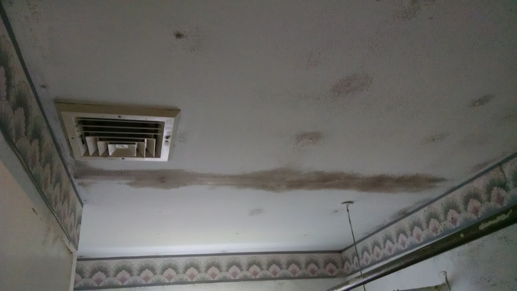 Ceiling with mold