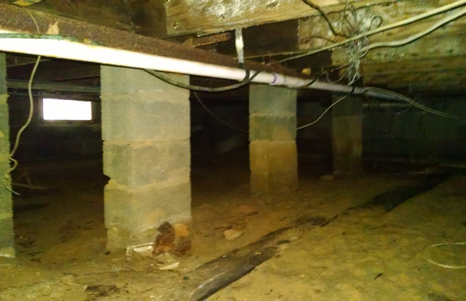 Crawlspace with mold