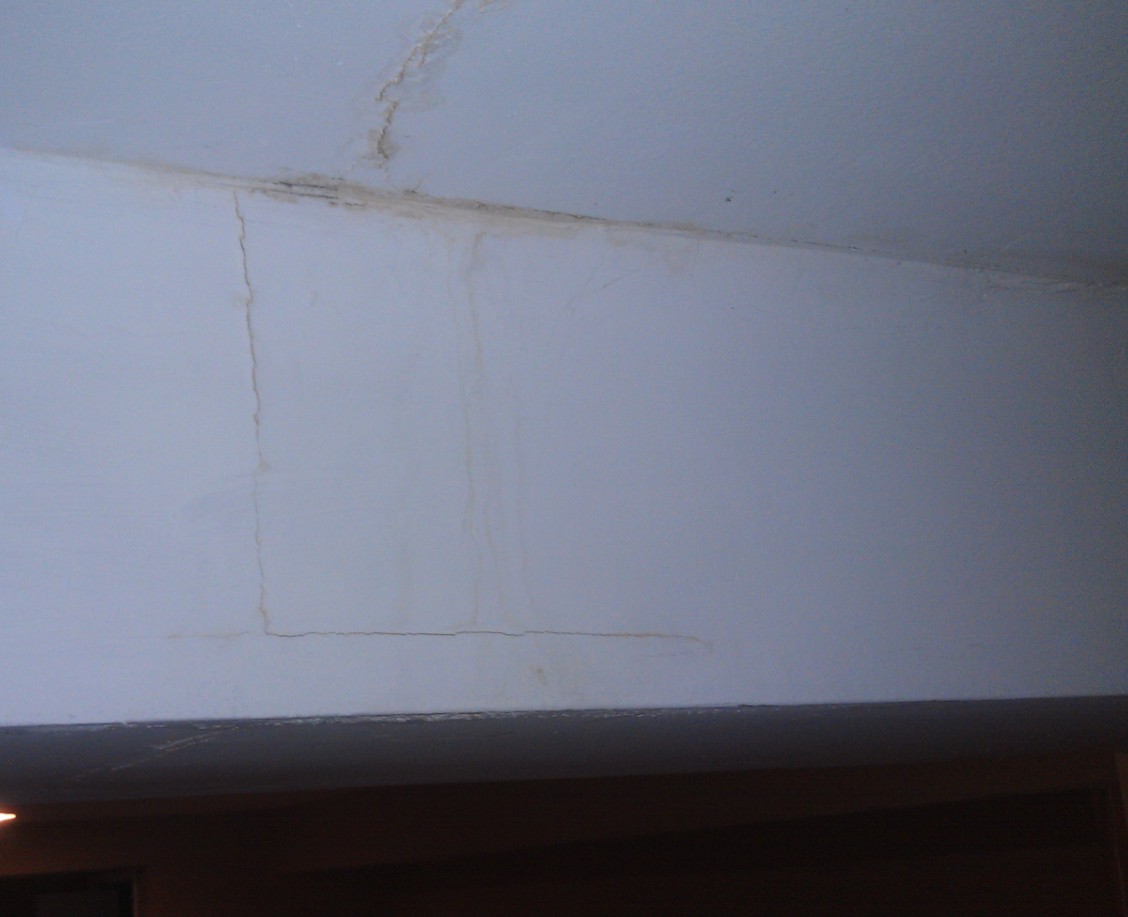 Basement ceiling mold