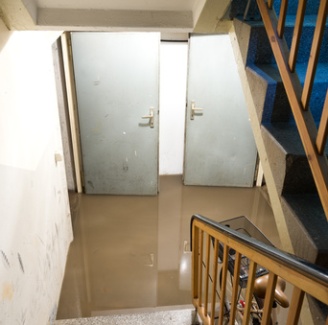 Basement flood cleanup