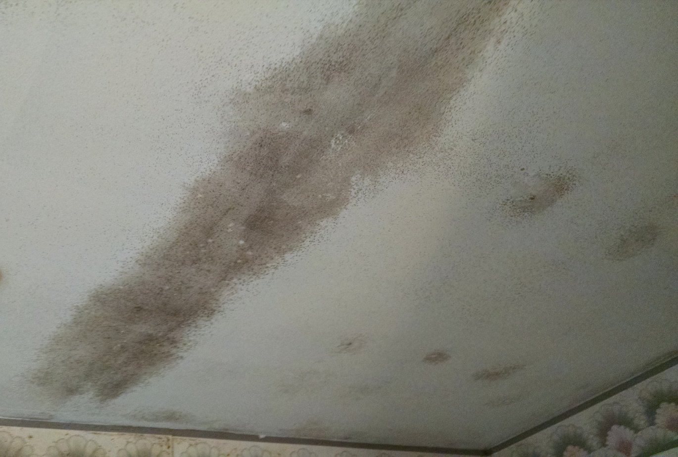Kitchen ceiling mold