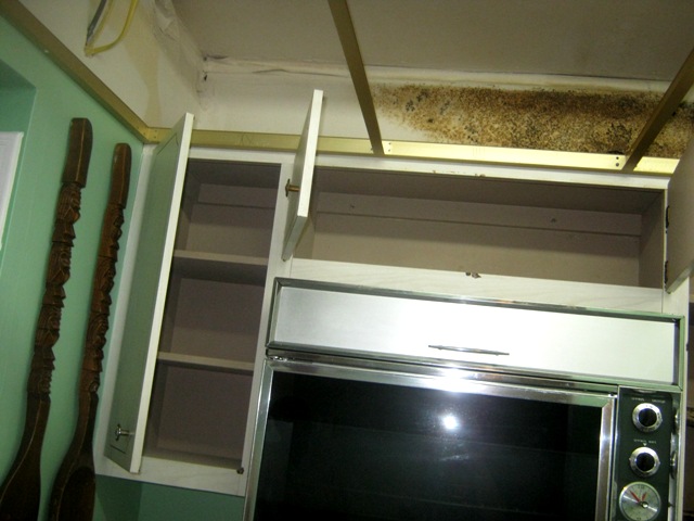 Kitchen mold