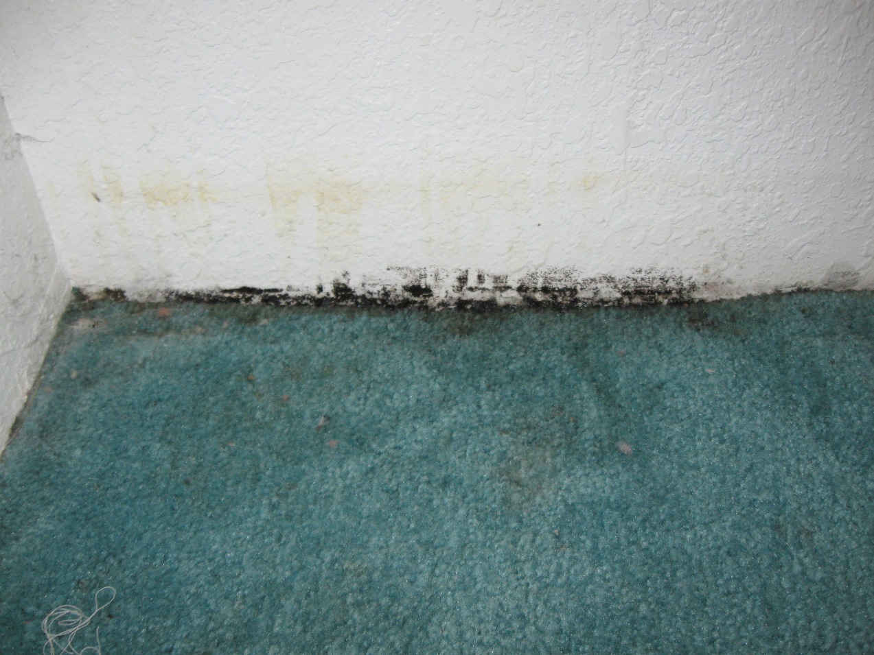 Carpeting mold