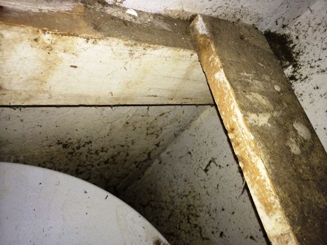 Mold central AC leak