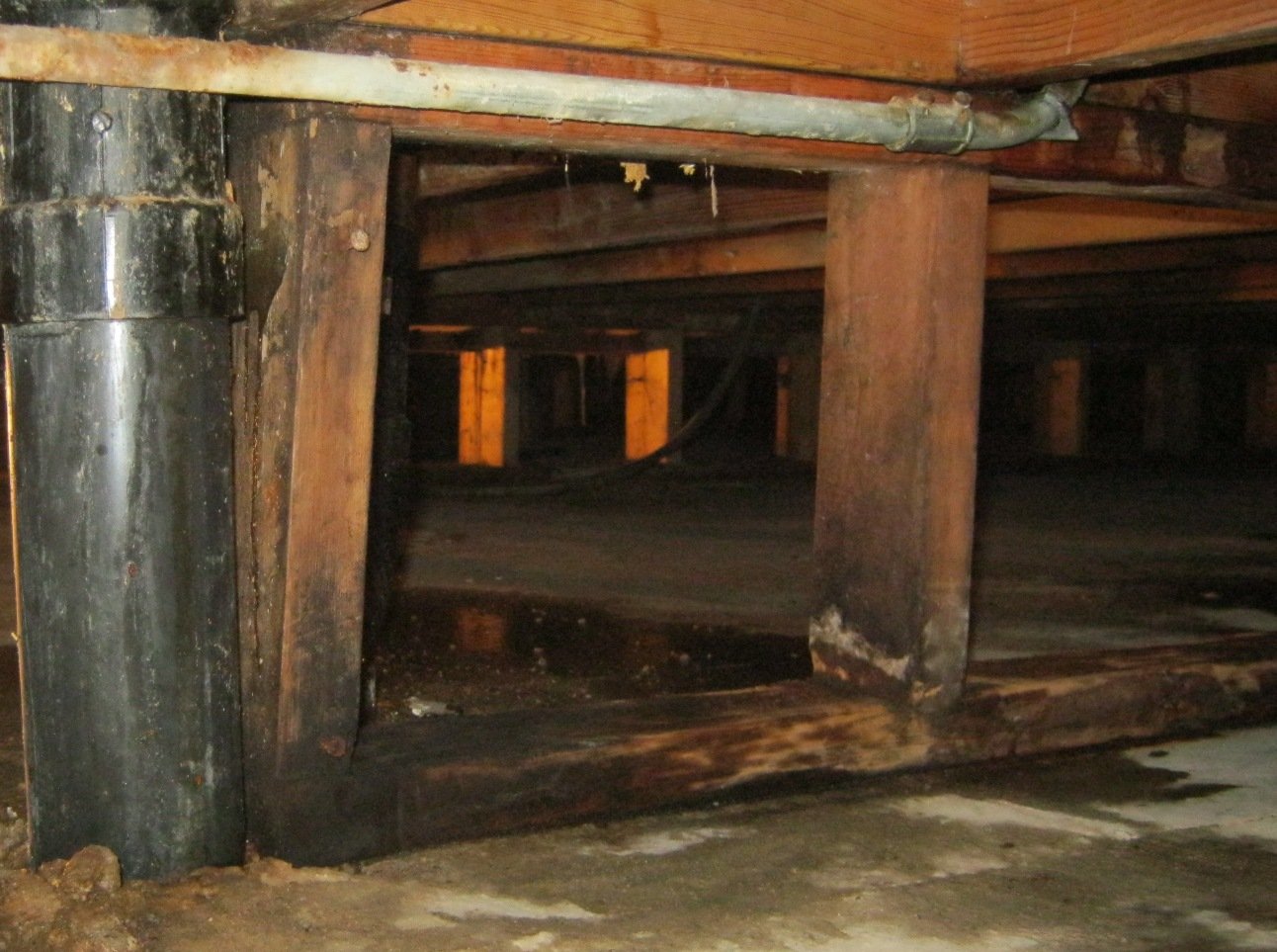 Mold crawlspace damp