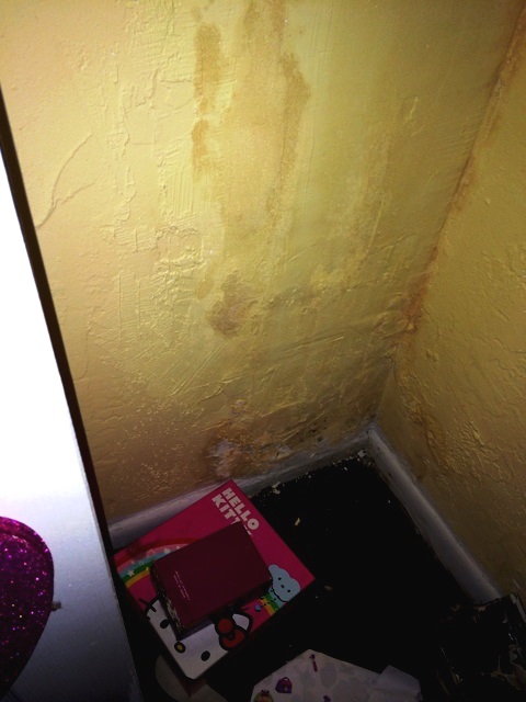 100 Pictures Of Mold In The Home Mold In Closet