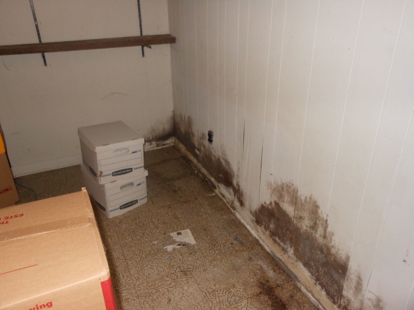 hoarding and mold