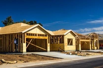 mold in new homes