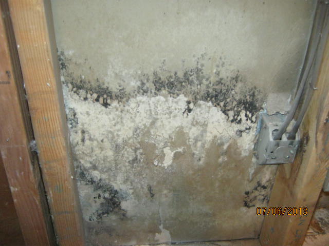 Mold inside wall